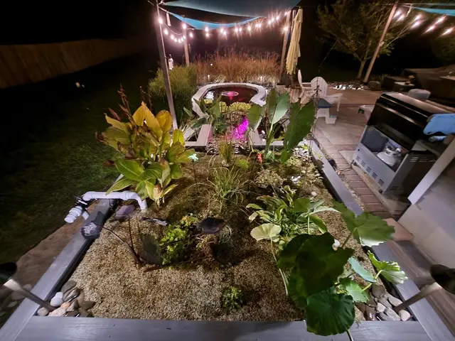 Bistro string lights over a backyard patio with a lit planter and outdoor kitchen at night