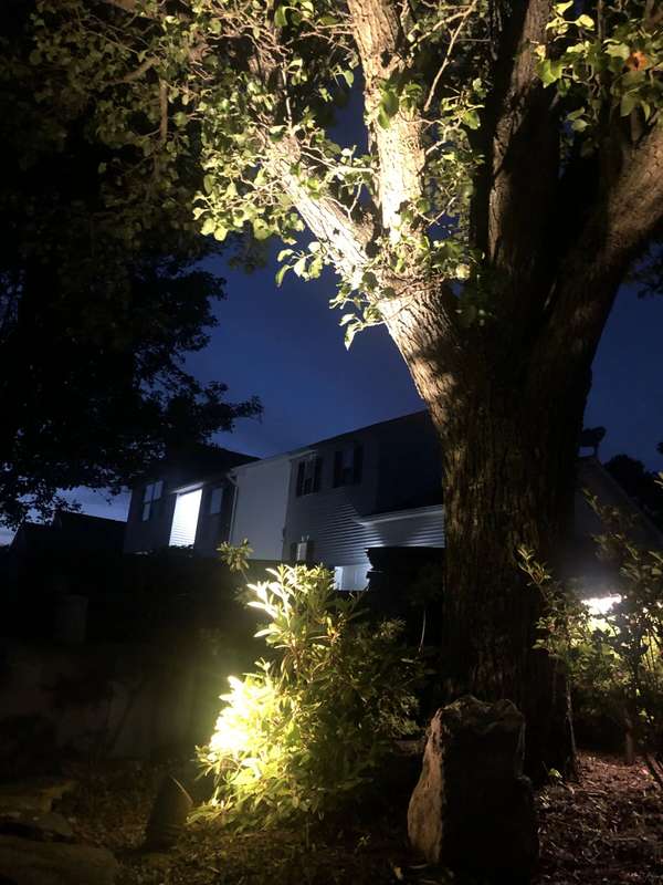 Landscape & Tree Lighting project by Illuminate Low Voltage Lighting, New Jersey