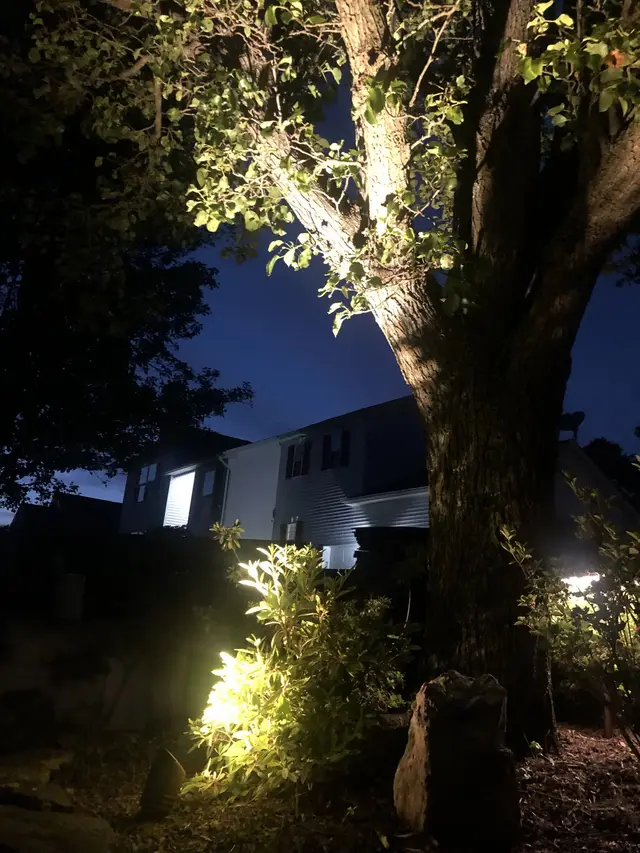 Landscape & Tree Lighting project by Illuminate Low Voltage Lighting, New Jersey