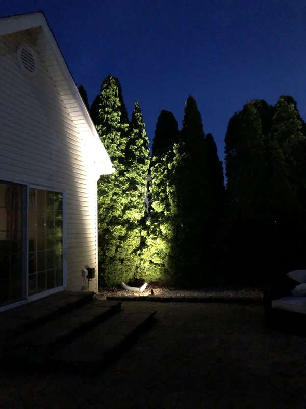 Landscape & Tree Lighting project by Illuminate Low Voltage Lighting, New Jersey