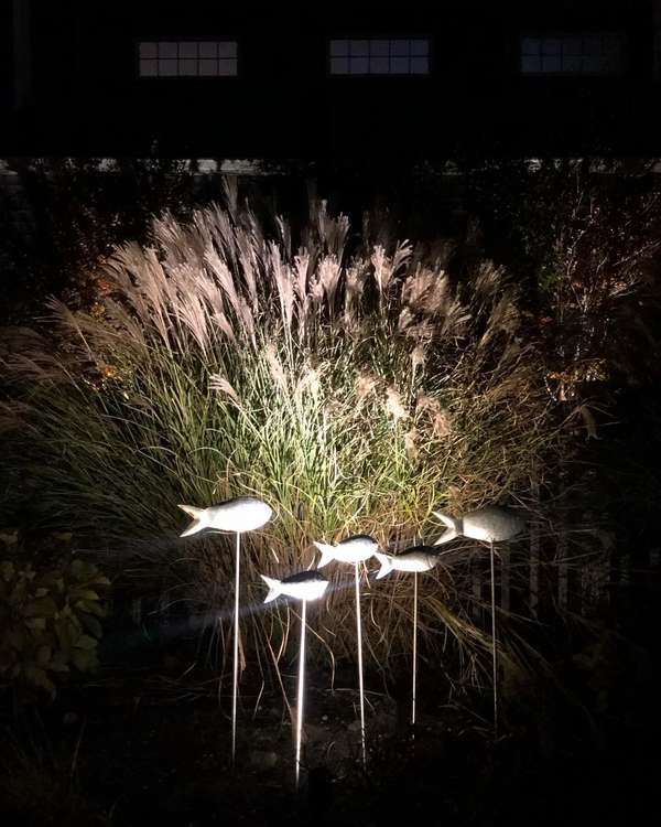 Landscape & Tree Lighting project by Illuminate Low Voltage Lighting, New Jersey