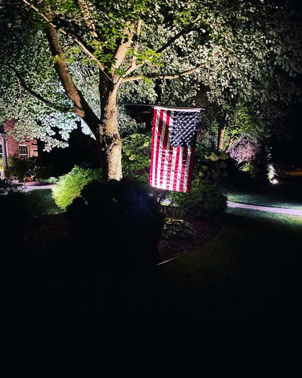 Landscape & Tree Lighting project by Illuminate Low Voltage Lighting, New Jersey