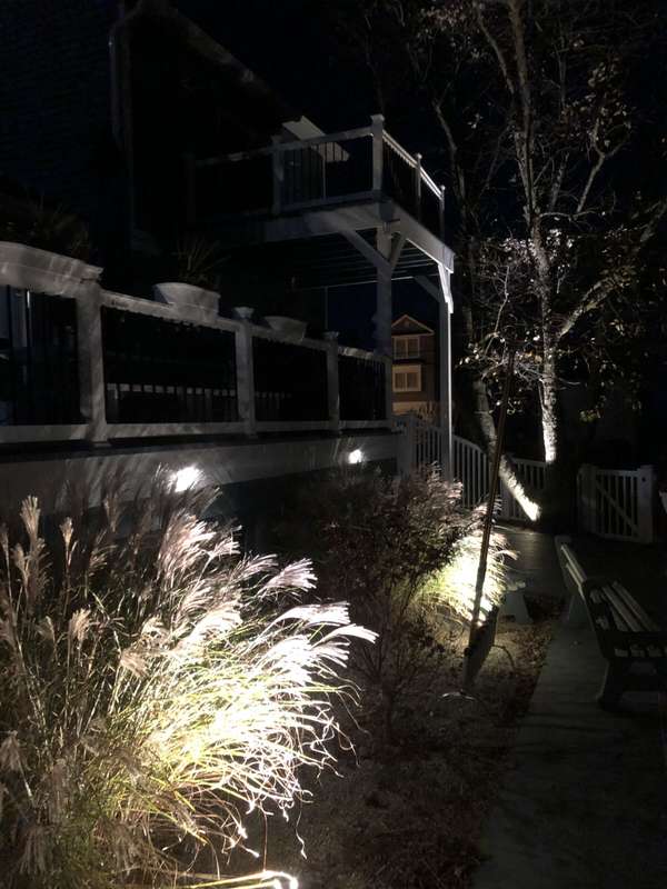Landscape & Tree Lighting project by Illuminate Low Voltage Lighting, New Jersey