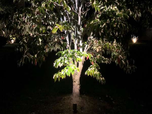 Landscape & Tree Lighting project by Illuminate Low Voltage Lighting, New Jersey