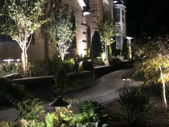 Uplit trees and garden beds along a lit paver path at night