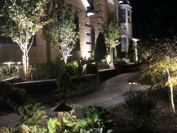 Uplit trees and garden beds along a lit paver path at night