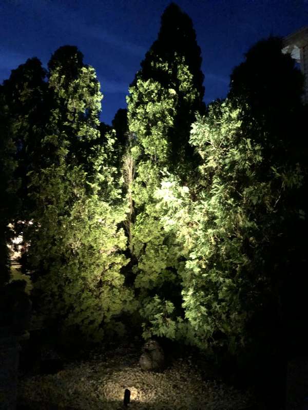 Landscape & Tree Lighting project by Illuminate Low Voltage Lighting, New Jersey