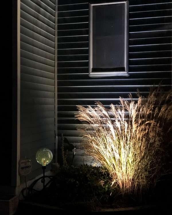 Landscape & Tree Lighting project by Illuminate Low Voltage Lighting, New Jersey