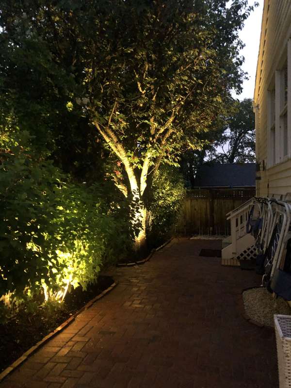 Landscape & Tree Lighting project by Illuminate Low Voltage Lighting, New Jersey