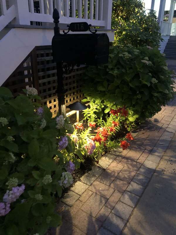 Landscape & Tree Lighting project by Illuminate Low Voltage Lighting, New Jersey
