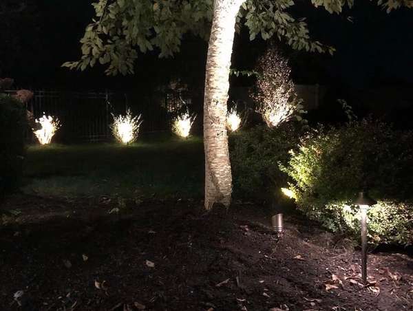 Landscape & Tree Lighting project by Illuminate Low Voltage Lighting, New Jersey