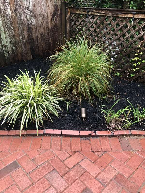 Landscape & Tree Lighting project by Illuminate Low Voltage Lighting, New Jersey