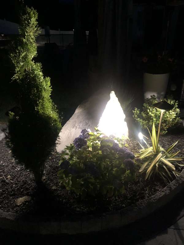 Landscape & Tree Lighting project by Illuminate Low Voltage Lighting, New Jersey