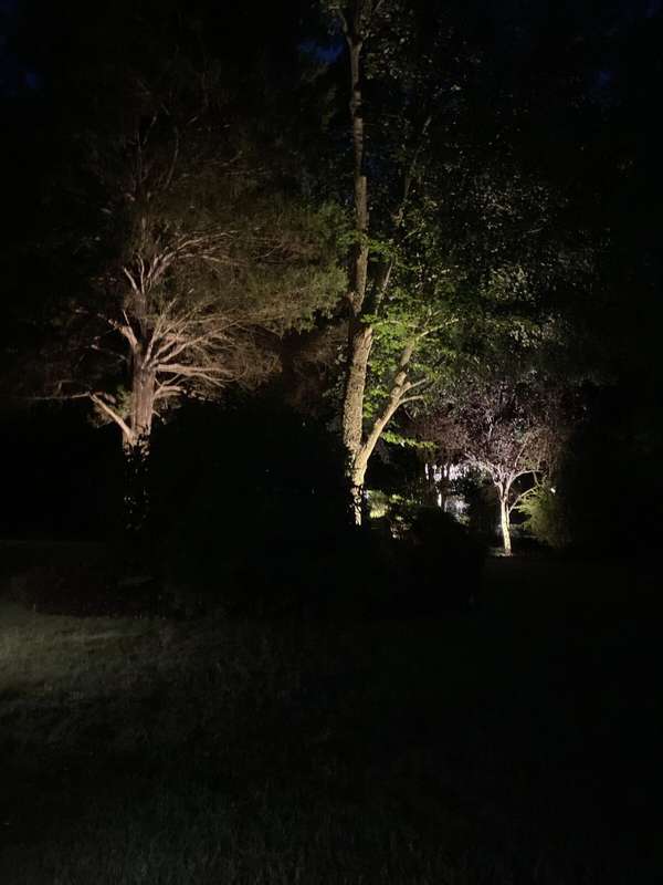 Landscape & Tree Lighting project by Illuminate Low Voltage Lighting, New Jersey
