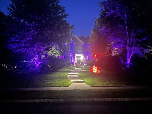 Landscape & Tree Lighting project by Illuminate Low Voltage Lighting, New Jersey