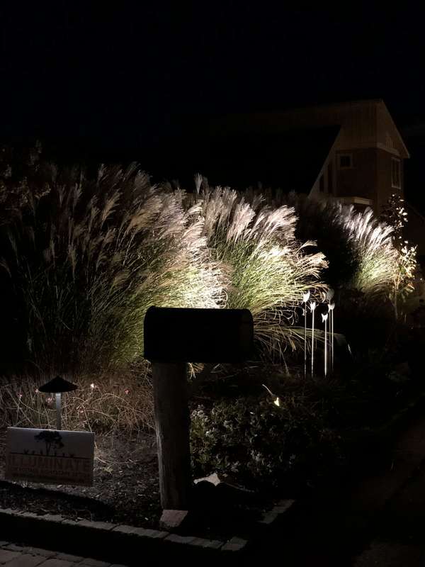 Landscape & Tree Lighting project by Illuminate Low Voltage Lighting, New Jersey
