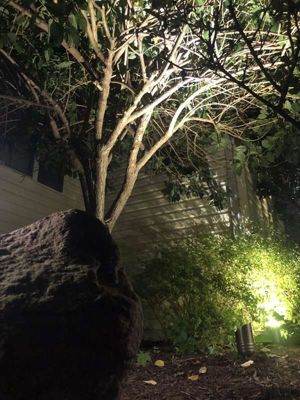 Landscape & Tree Lighting project by Illuminate Low Voltage Lighting, New Jersey