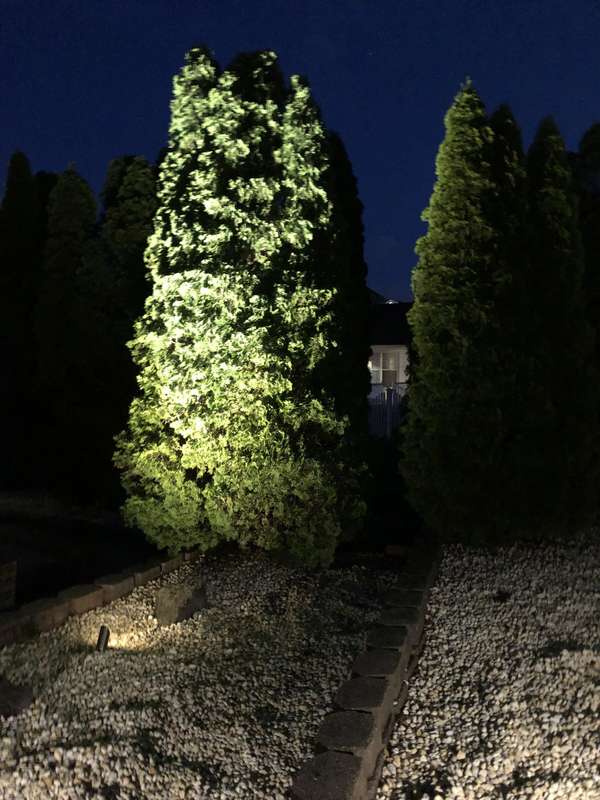 Landscape & Tree Lighting project by Illuminate Low Voltage Lighting, New Jersey