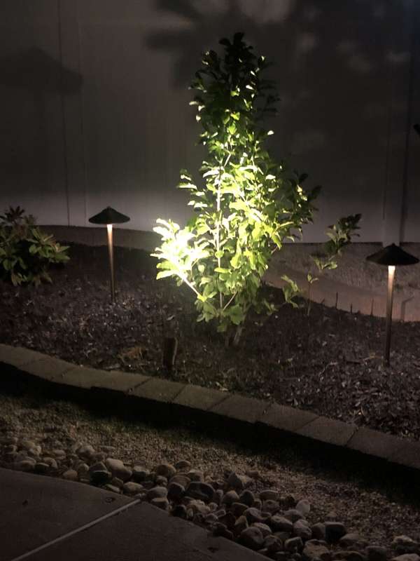 Landscape & Tree Lighting project by Illuminate Low Voltage Lighting, New Jersey