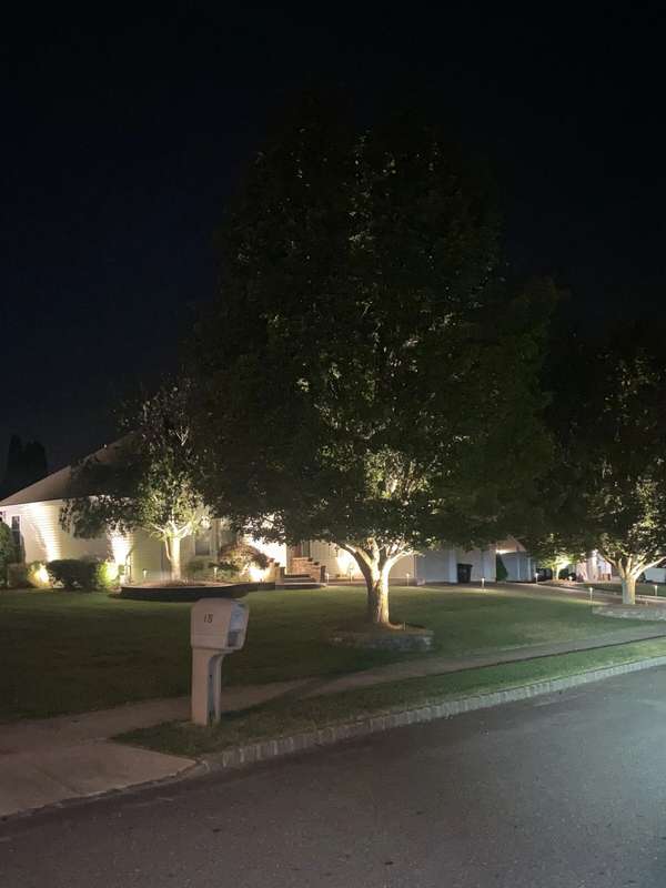 Landscape & Tree Lighting project by Illuminate Low Voltage Lighting, New Jersey