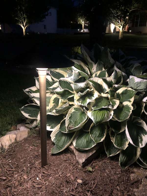 Landscape & Tree Lighting project by Illuminate Low Voltage Lighting, New Jersey