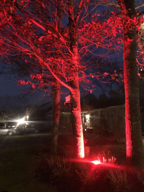 Landscape & Tree Lighting project by Illuminate Low Voltage Lighting, New Jersey