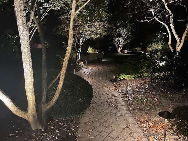 Pathway Lighting project by Illuminate Low Voltage Lighting, New Jersey