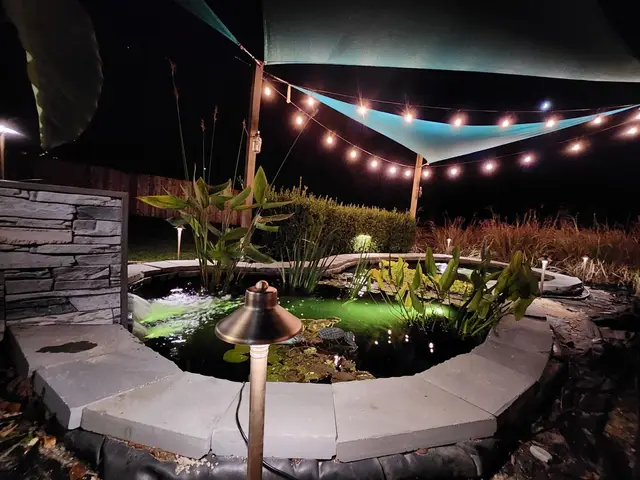 Pool & Water Feature Lighting project by Illuminate Low Voltage Lighting, New Jersey