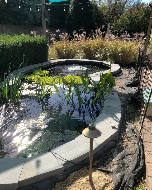 Pool & Water Feature Lighting project by Illuminate Low Voltage Lighting, New Jersey