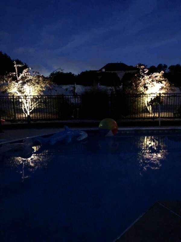 Pool & Water Feature Lighting project by Illuminate Low Voltage Lighting, New Jersey